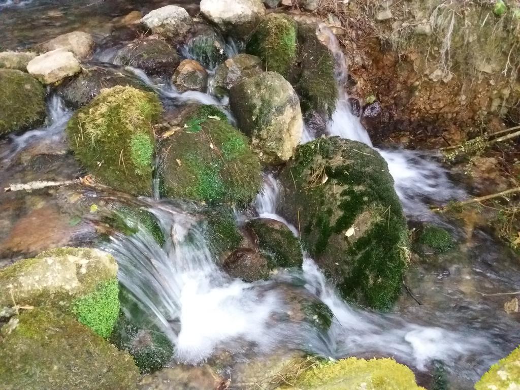 Casa Rural Moli De Fornols Otel Dış mekan fotoğraf