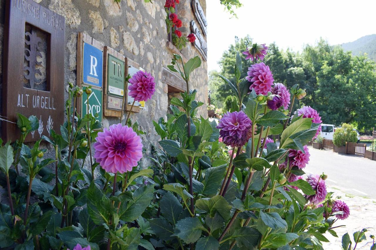 Casa Rural Moli De Fornols Otel Dış mekan fotoğraf